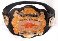 Second belt design