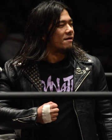 puroresu system wiki fandom