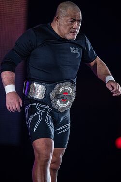NEVER Openweight Championship | Puroresu System Wiki | Fandom NEVER Openweight Championship | Puroresu System Wiki | Fandom