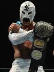 Bushiiwgpjr.jpg (109 KB) BUSHI
