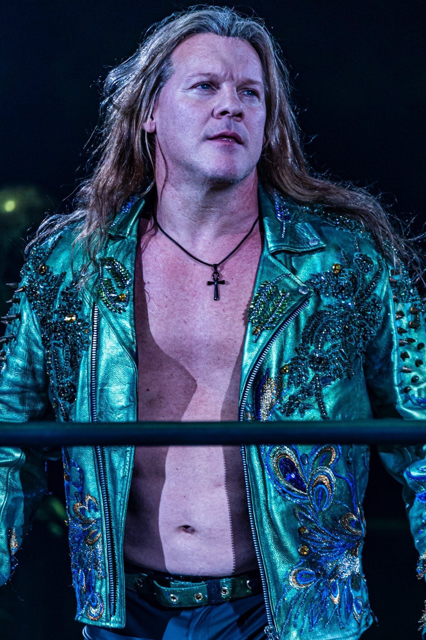 EHRIE JERICHO Leaf カットシグネチャー WWE 新日本プロレス 高速 割引 2025 東日本 EHRIE 新日本プロレス WWE カット