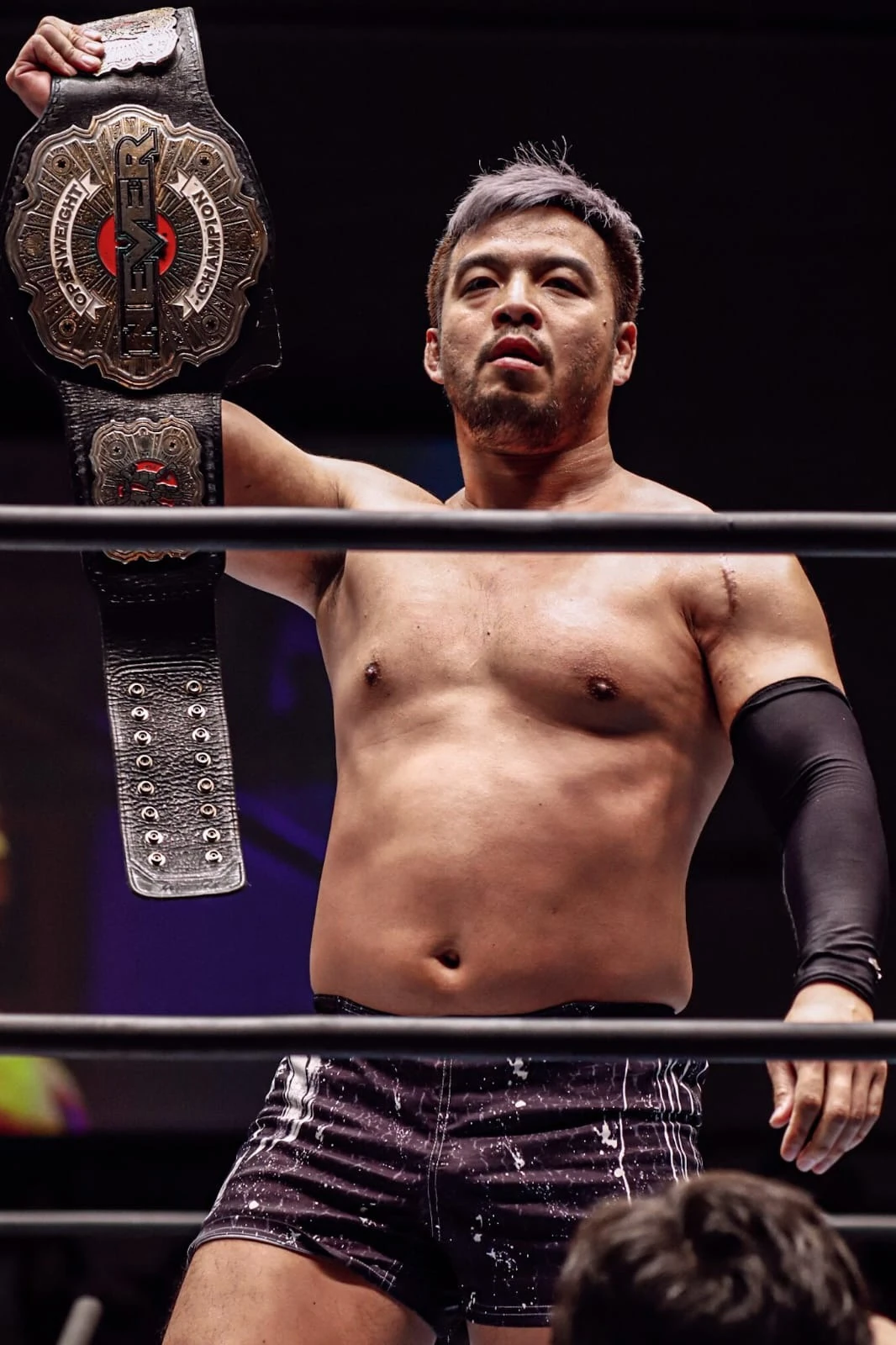 Wrestle Kingdom 14 | Puroresu System Wiki | Fandom