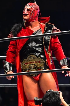 ドラゴン・リー リュウ・リー マスク