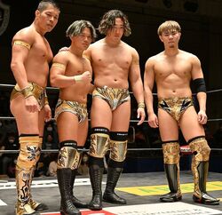 Gold Class, Puroresu System Wiki