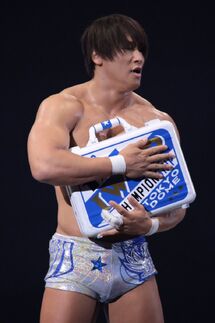 Ibushiwbriefcase2