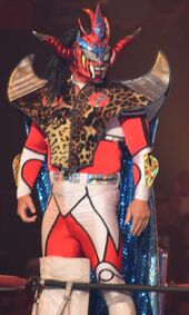 Liger