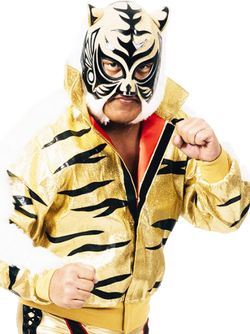 BIG HEAD KING FIGHTERS FIRST TIGER MASK Tiger Mask (pro wrestler