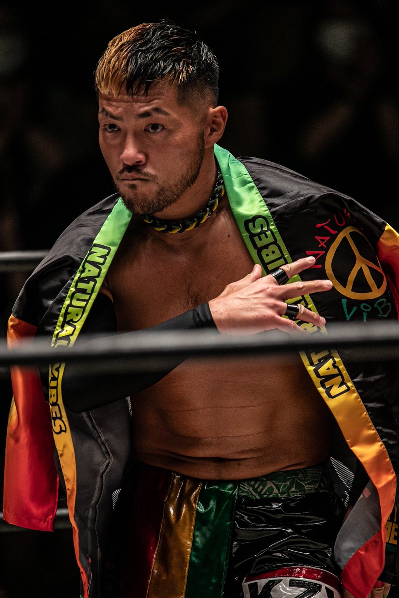 Kzy Puroresu System Wiki Fandom