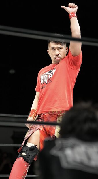 Hajime Ohara Puroresu System Wiki Fandom