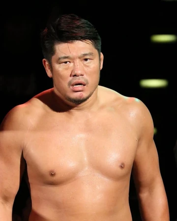 King Tany Puroresu System Wiki Fandom