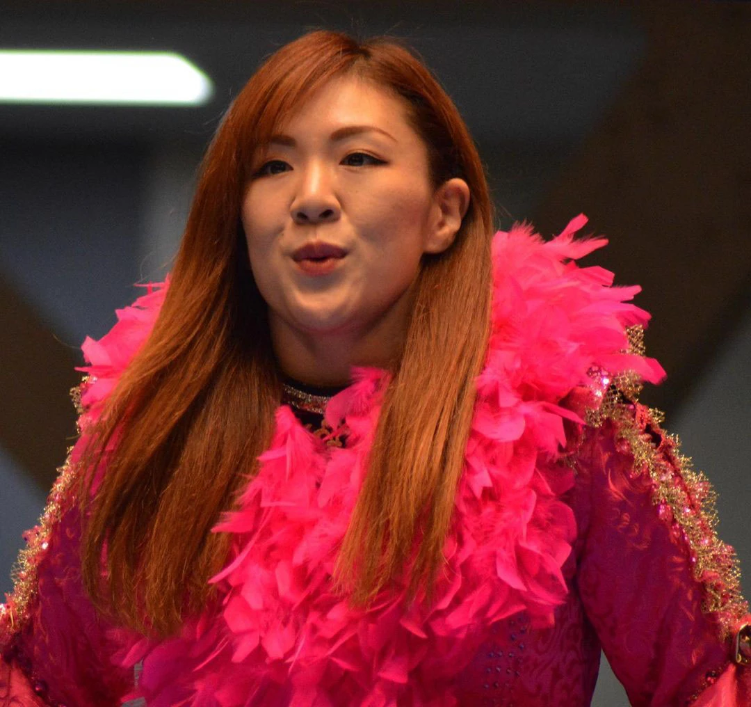 Arisa Nakajima Puroresu System Wiki Fandom