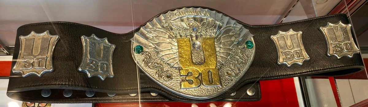 IWGP U30 Openweight Championship Puroresu System Wiki Fandom