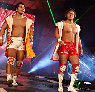 No Limit Puroresu System Wiki Fandom