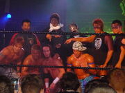 Dragon Gate Wrestlers