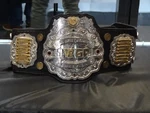 IWGP Jr Heavy.jpg (108 KB) Thrid belt design