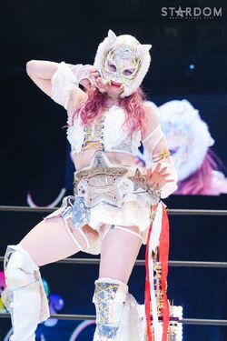 Wonder of Stardom Championship | Puroresu System Wiki | Fandom