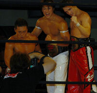 CIMA, Jack Evans and Hulk as Open The Triangle Gate Champions