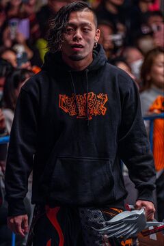 KYORITSU WRESTLING TEAM ウェア Kosei Fujita | Puroresu System Wiki | Fandom