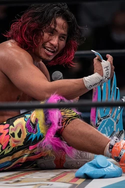 Los Ingobernables de Japón | Puroresu System Wiki | Fandom