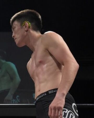 Shinya Aoki Puroresu System Wiki Fandom