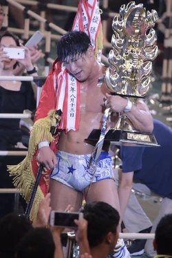 G1 Climax | Puroresu System Wiki | Fandom
