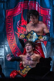 KungFuBrotherstwin