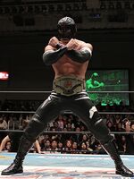 BUSHI as the CMLL World Welterweight Champion