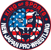 ShinNihon USA logo