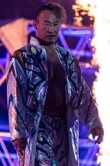 Naomichi Marufuji