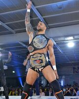 Ricochet as the Open the Dream Gate and Freedom Gate Champion