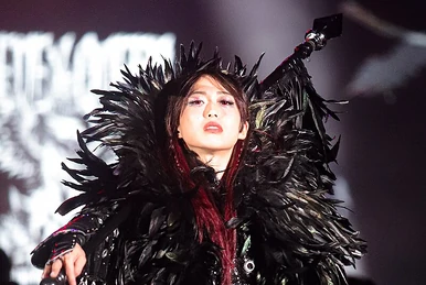 Hina | Puroresu System Wiki | Fandom