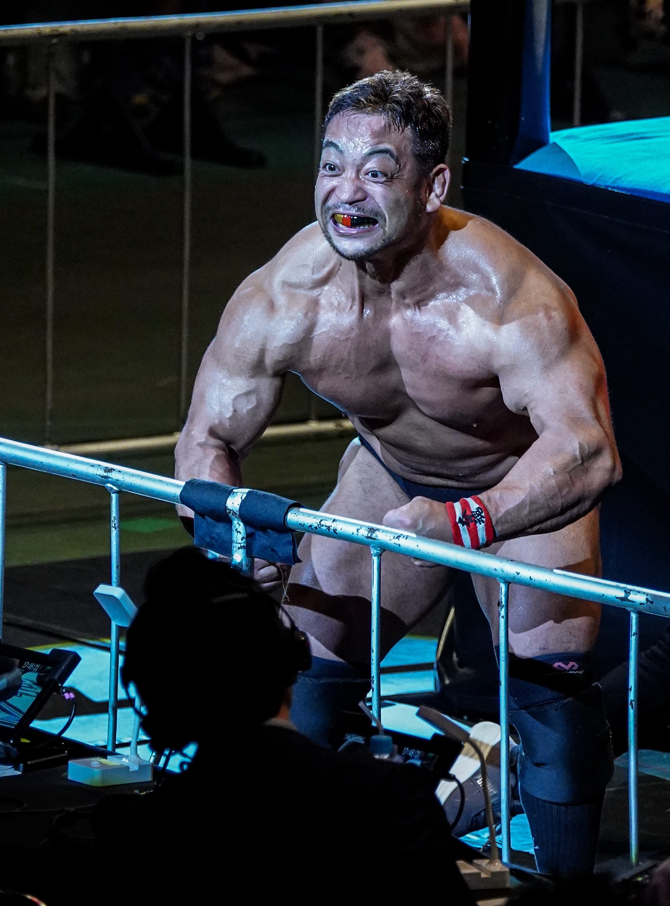 Cagematch Wrestlers - goiupp5