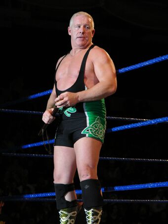 Dave Finlay Puroresu System Wiki Fandom