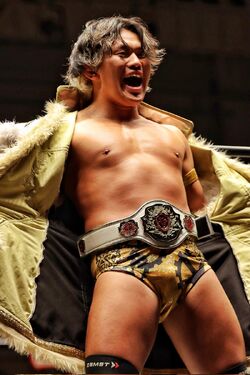 Gold Class, Puroresu System Wiki