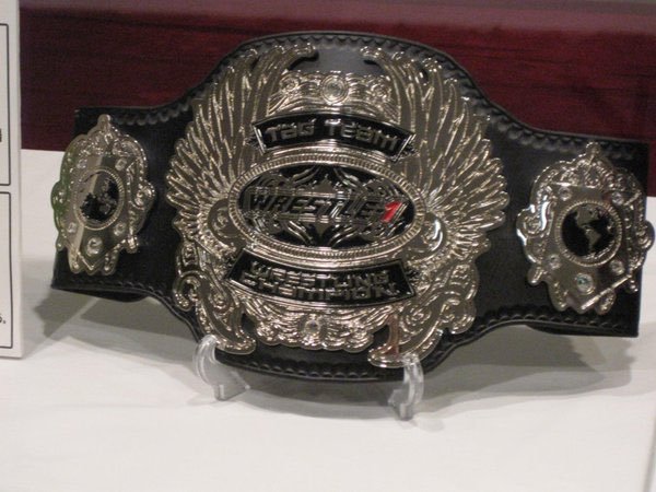 Wrestle-1 Tag Team Championship				Fan Feed