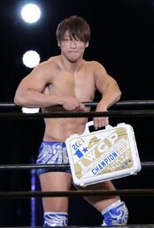 Ibushiwbriefcase3