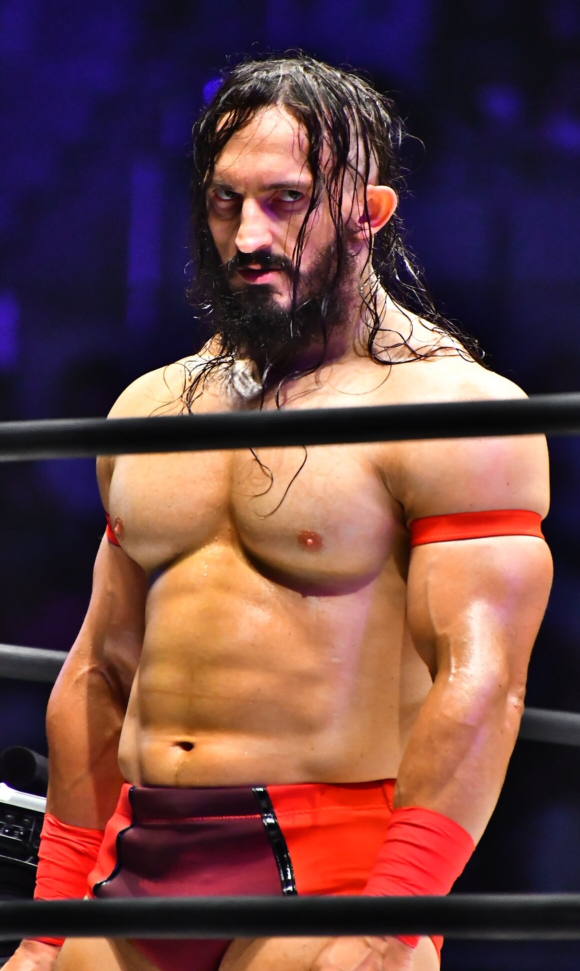 Professional wrestling - Wikipedia