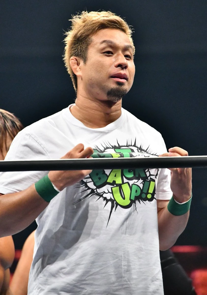 Yoshi Hashi Puroresu System Wiki Fandom
