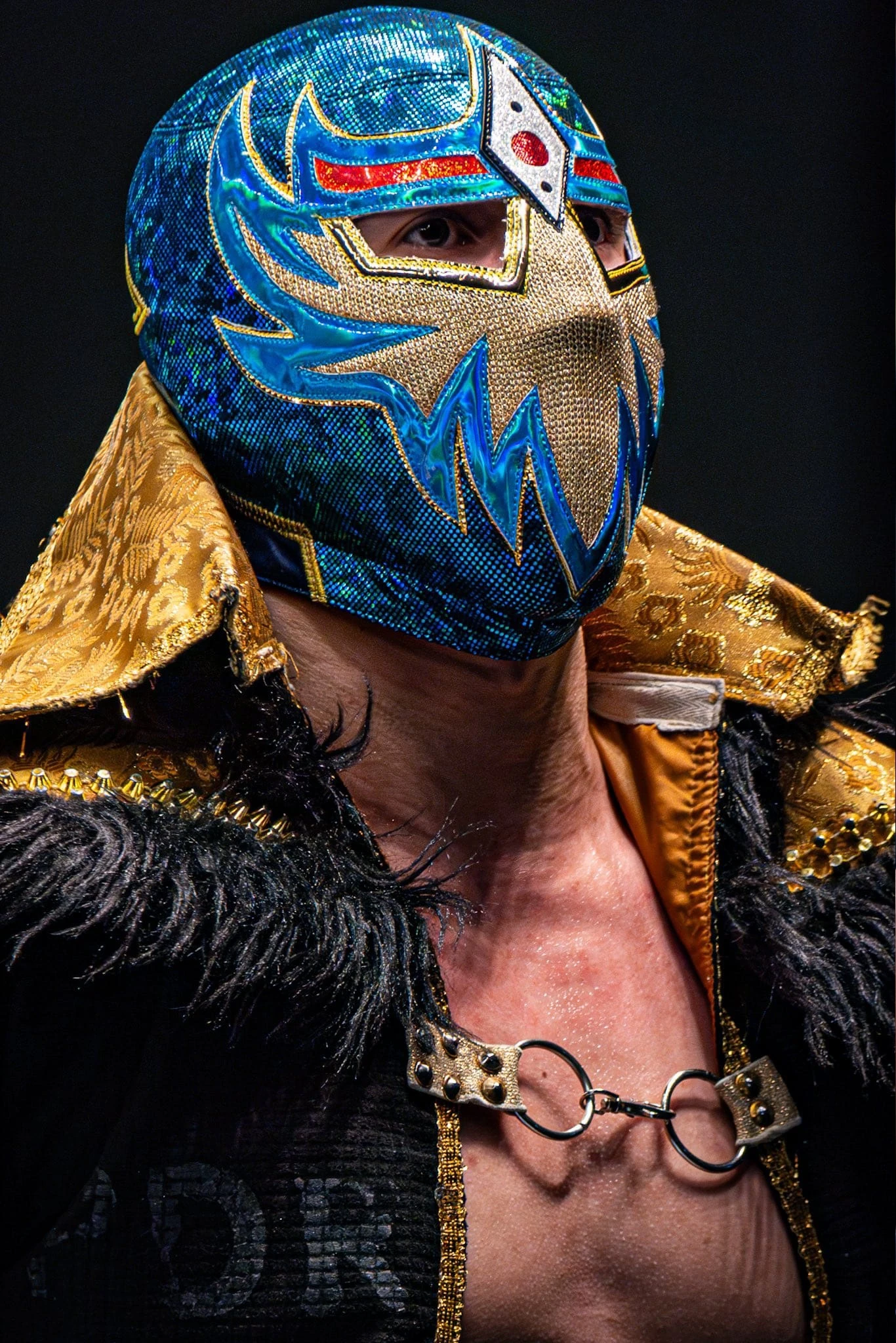 Máscara Dorada Puroresu System Wiki Fandom