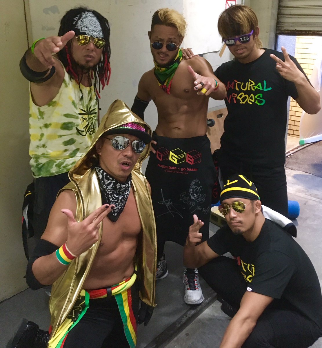 Natural Vibes Puroresu System Wiki Fandom Natural Vibes Puroresu System Wiki Fandom