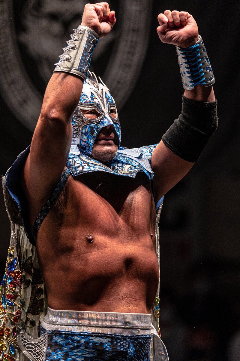 ultimo dragon