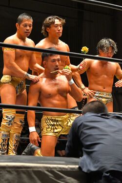 Gold Class, Puroresu System Wiki