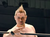 Taka Michinoku