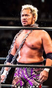 Togi Makabe Puroresu System Wiki Fandom
