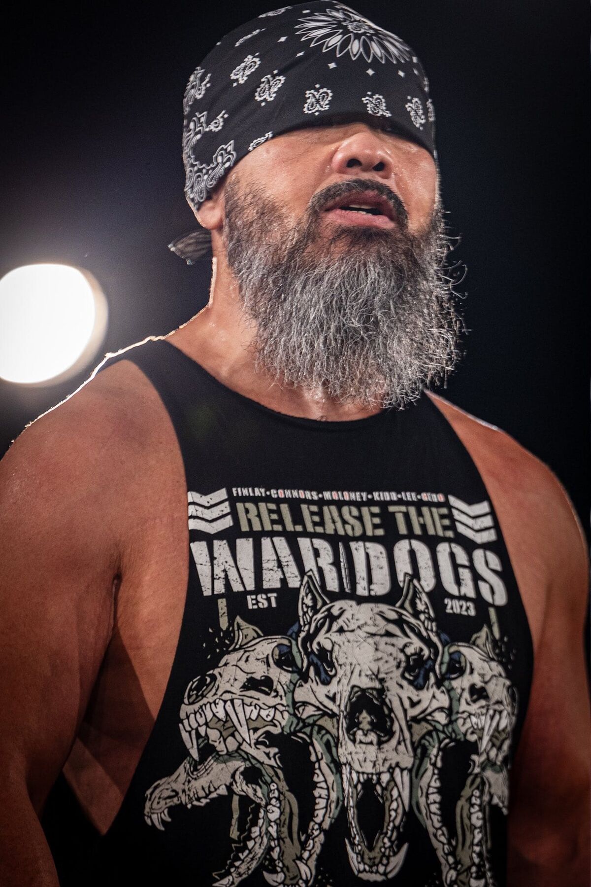 Gedo | Puroresu System Wiki | Fandom