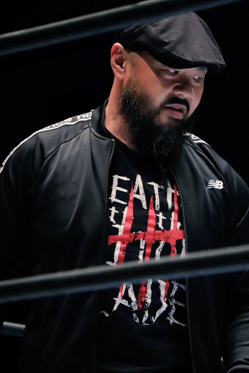 Gedo Puroresu System Wiki Fandom