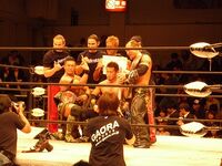 CIMA, Gamma and KAGETORA as Open The Triangle Gate Champions