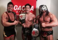 Shingo Takagi, T-Hawk and Cyber Kong as Open The Triangle Gate Champions