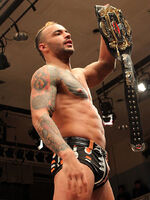 Ricochet as the Open The Dream Gate Champion