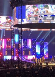 Wk15maineventarena